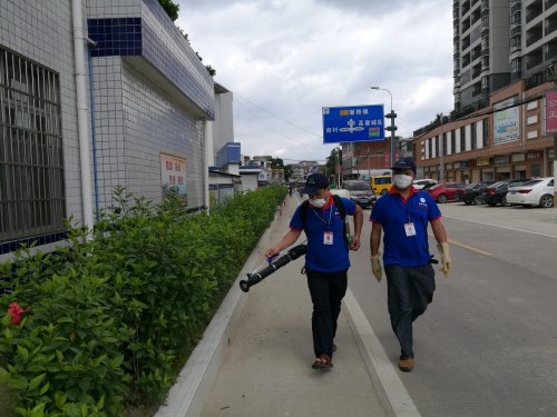 高要公共區域殺蟲滅鼠